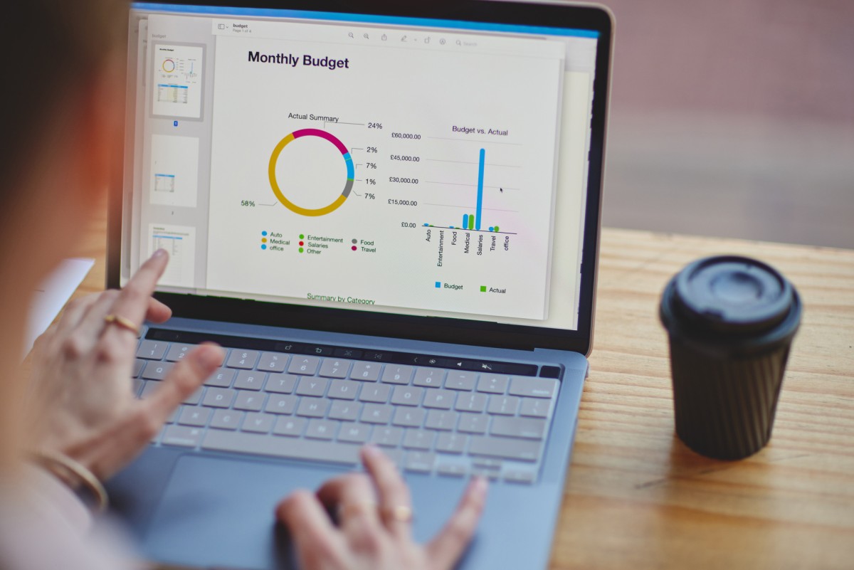 Person analyzing monthly budget graphs on laptop.