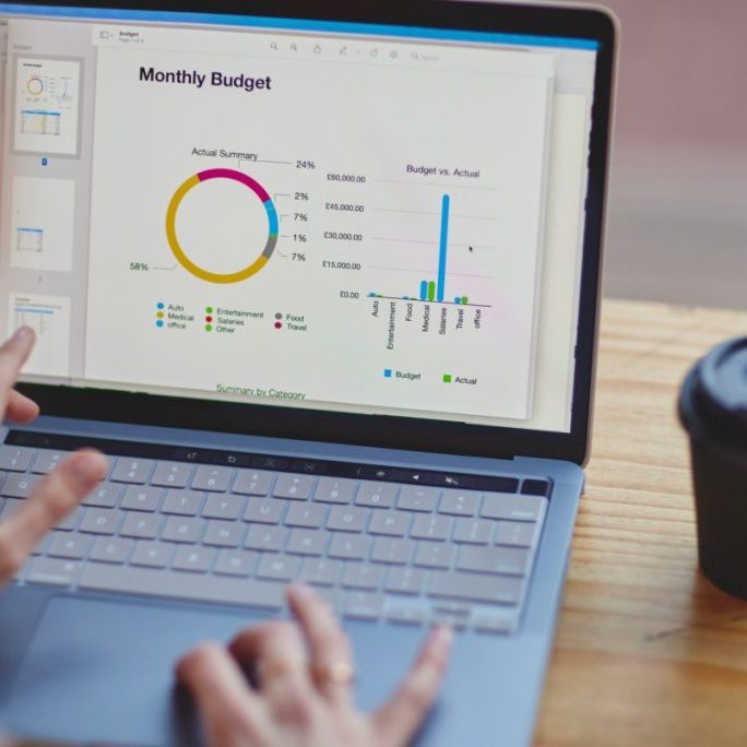 Person analyzing monthly budget graphs on laptop.